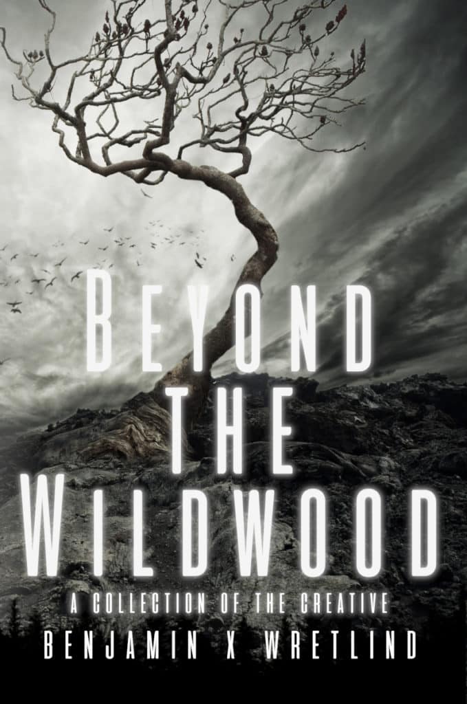 Beyond the Wildwood: A Collection of the Creative